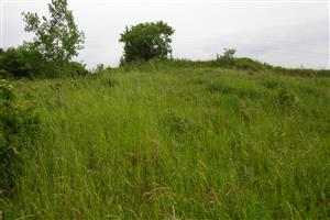 Celkový pohľad na zvyšky zachovanej lúky